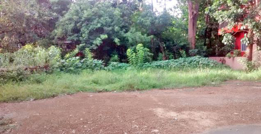 Land allocated...